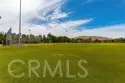 67 Canopy thumbnail 61