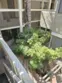365 W Alameda #207 thumbnail 29