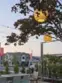 3948 Lavine Way #101 thumbnail 31