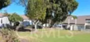 1437 Robin thumbnail 8