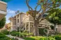 12660 Briarglen #H thumbnail 1
