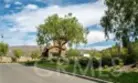 418 Timberwood thumbnail 31