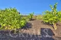 45904 Corte Mislanca thumbnail 56