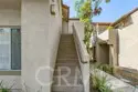 21227 Camelia #18 thumbnail 6