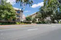 1127 E Del Mar Boulevard #323 thumbnail 19