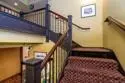 702 Ash Street #800 thumbnail 49