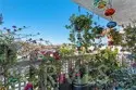 34264 Camino Capistrano #309 thumbnail 14
