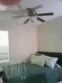 27959 Cactus #B thumbnail 14