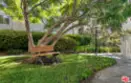 8207 Summertime Lane thumbnail 19