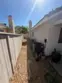 23980 Via Astuto thumbnail 29