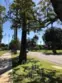 380 S Orange Grove Bl #8 thumbnail 3