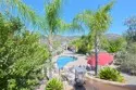 26784 Lemon Grass thumbnail 30