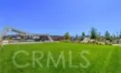 187 Biome #187 thumbnail 34