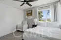 19854 White Spring thumbnail 20