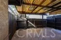 12198 Orchid #b thumbnail 13