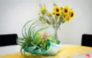 11301 Summertime Lane thumbnail 13
