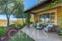 26843 Orchid Tree thumbnail 35