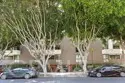 911 N Kings #306 thumbnail 2