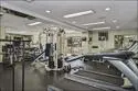 1775 Diamond Street #221 thumbnail 8