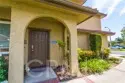 25261 Tanoak thumbnail 5