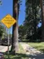 380 S Orange Grove Bl #8 thumbnail 12