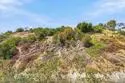 4845 Collwood Boulevard #A thumbnail 11