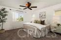 140 W Cork Tree thumbnail 21