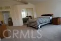 24054 Bearskin thumbnail 10