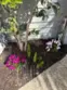 2687 Orange #b thumbnail 15