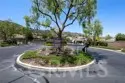 24082 Boulder Oaks Drive thumbnail 3