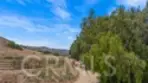 7833 E Viewrim thumbnail 33