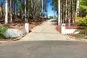 43821 Shady Creek thumbnail 5