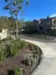 21245 Camelia #27 thumbnail 16