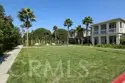 8454 Hibiscus thumbnail 39