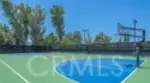 11 Nature thumbnail 41