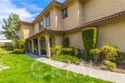 25261 Tanoak thumbnail 4