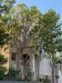 8310 Atlanta #205 thumbnail 1