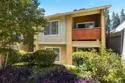 7003 Saranac Street #103 thumbnail 20