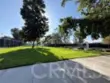 32 Spinnaker thumbnail 33