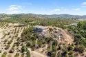 24135 Mirasol Way thumbnail 49