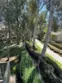 8514 E Baker Hill Road #B thumbnail 13