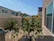 36612 Desert Tortoise Road thumbnail 5