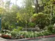 424 N Bellflower #101 thumbnail 20