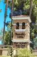 42145 Delmonte thumbnail 46