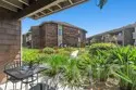 33852 Del Obispo Street #9 thumbnail 22