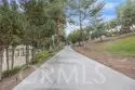 42761 Juniper thumbnail 58