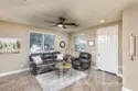 44972 Bellflower thumbnail 23