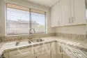 25261 Tanoak thumbnail 18
