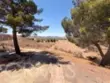 35095 Via Cerro thumbnail 45