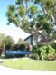 8633 Portola Court #17-E thumbnail 41